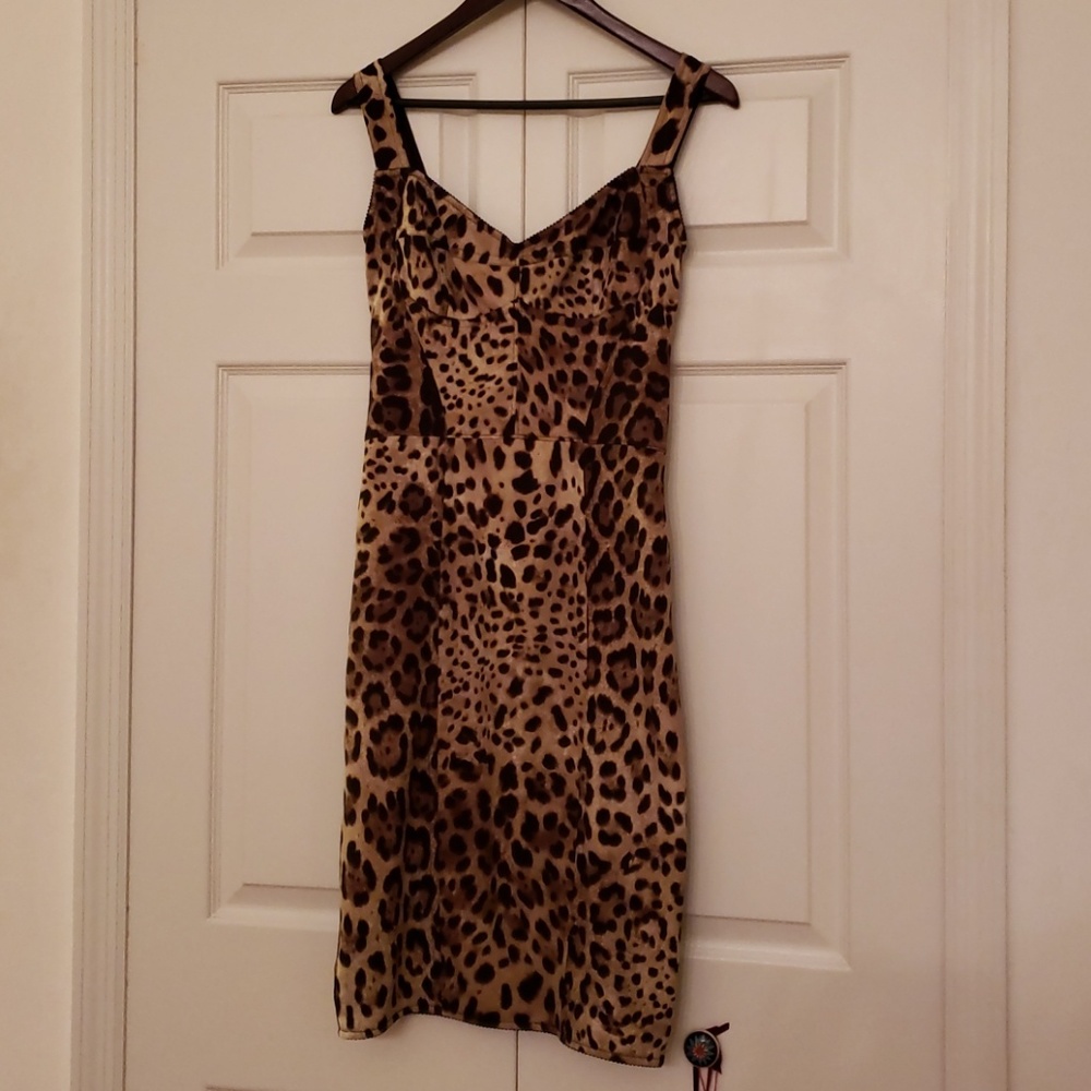 Dolce & Gabbana | Paneled Leopard Cady Dress - Picture 4 of 8